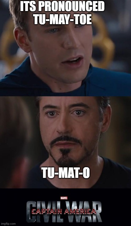 Marvel Civil War | ITS PRONOUNCED TU-MAY-TOE; TU-MAT-O | image tagged in memes,marvel civil war | made w/ Imgflip meme maker