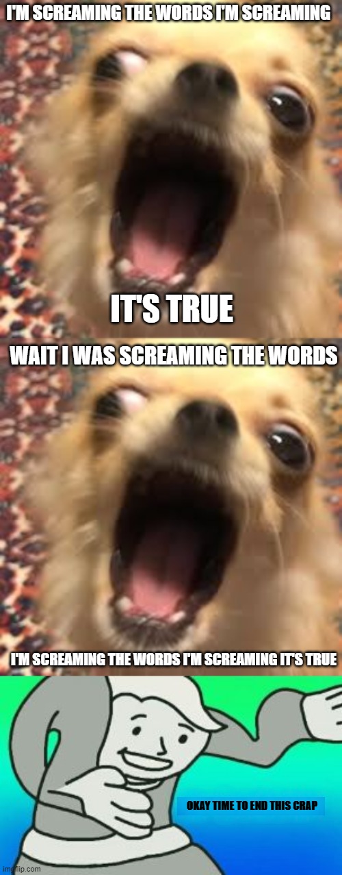I ended it | I'M SCREAMING THE WORDS I'M SCREAMING; IT'S TRUE; WAIT I WAS SCREAMING THE WORDS; I'M SCREAMING THE WORDS I'M SCREAMING IT'S TRUE; OKAY TIME TO END THIS CRAP | image tagged in screaming,okay time to end this crap,it would go on forever | made w/ Imgflip meme maker