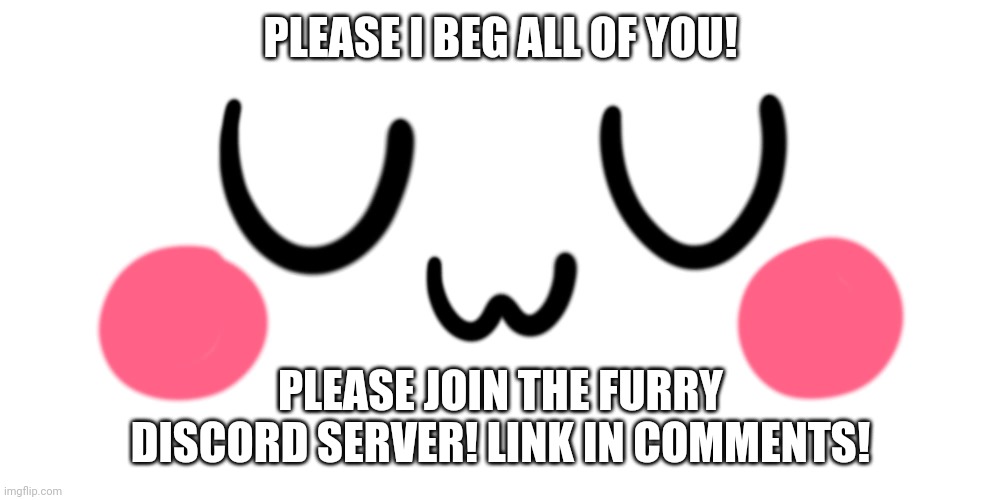 PLEASE, PLEASE, JUST JOIN, PLEASE | PLEASE I BEG ALL OF YOU! PLEASE JOIN THE FURRY DISCORD SERVER! LINK IN COMMENTS! | image tagged in uwu,furries,discord | made w/ Imgflip meme maker