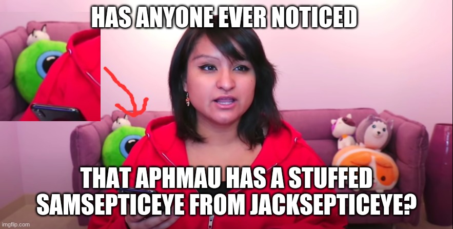 What is that? | HAS ANYONE EVER NOTICED; THAT APHMAU HAS A STUFFED SAMSEPTICEYE FROM JACKSEPTICEYE? | image tagged in what is that | made w/ Imgflip meme maker