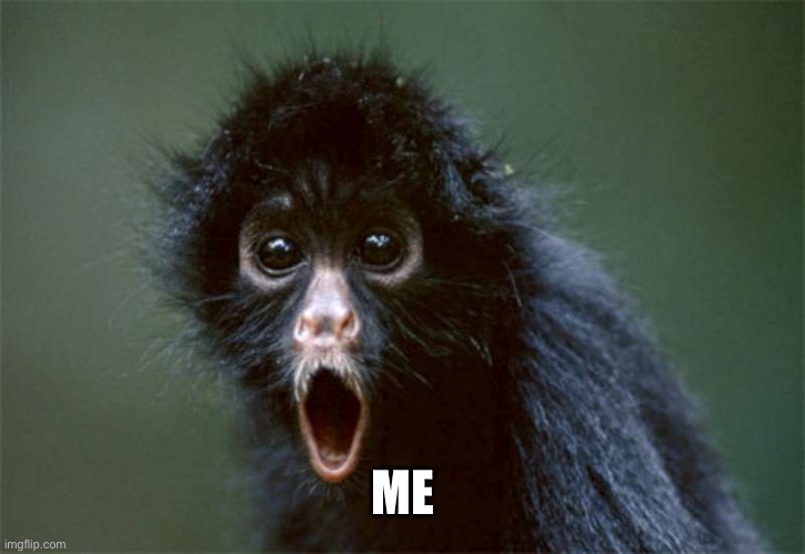 Holy Crap Monkey | ME | image tagged in holy crap monkey | made w/ Imgflip meme maker