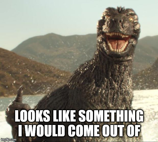 Godzilla approved | LOOKS LIKE SOMETHING I WOULD COME OUT OF | image tagged in godzilla approved | made w/ Imgflip meme maker