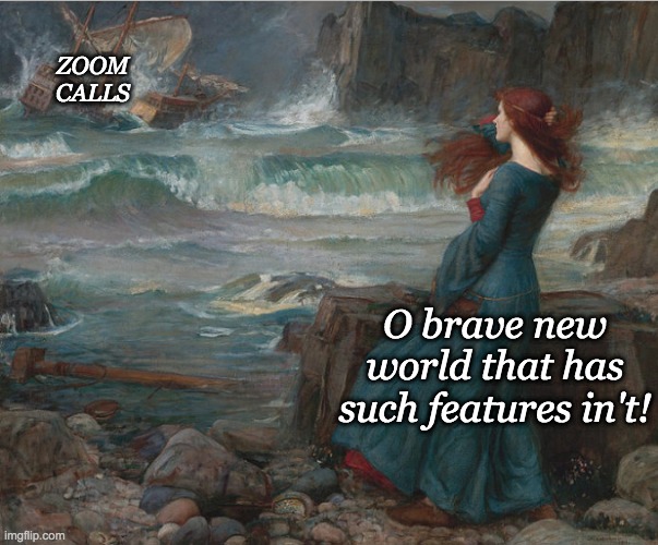 You might just want to stay on your tropical island, Miranda | ZOOM
CALLS; O brave new world that has such features in't! | image tagged in brave new world,shakespeare,irony | made w/ Imgflip meme maker