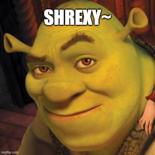 *sighs in wtf am i doing with my life* | SHREXY~ | image tagged in shrek sexy face | made w/ Imgflip meme maker