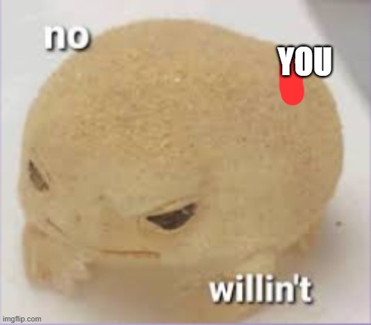 no i willin't | YOU | image tagged in no i willin't | made w/ Imgflip meme maker