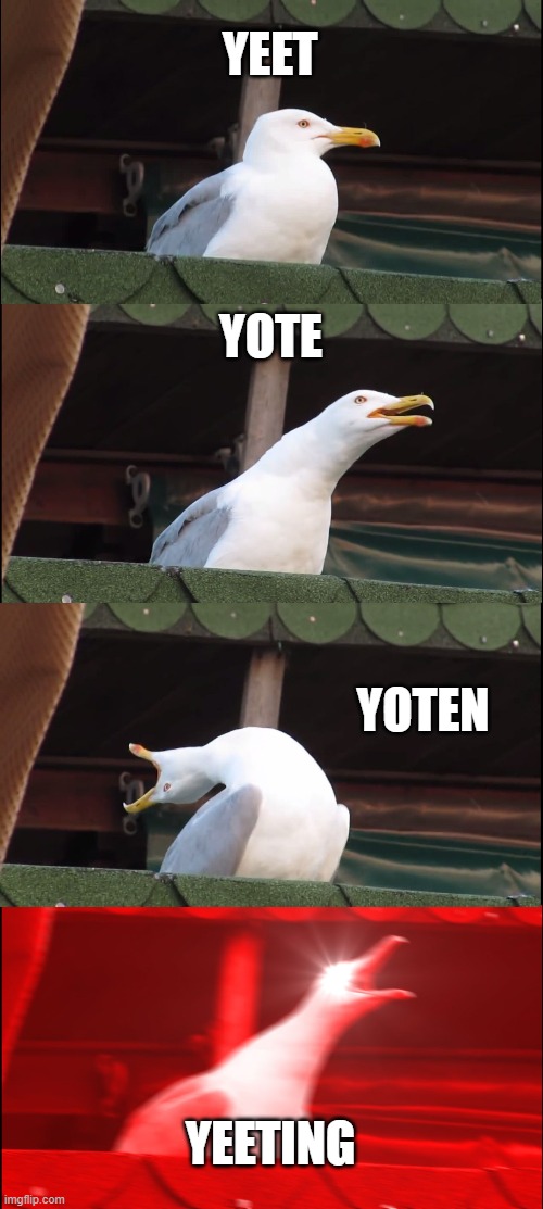 Inhaling Seagull | YEET; YOTE; YOTEN; YEETING | image tagged in memes,inhaling seagull,yeet | made w/ Imgflip meme maker