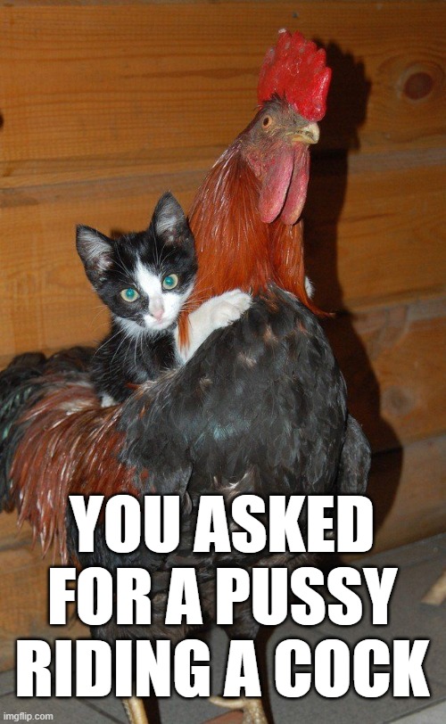 Not a dirty picture, just a dirty mind. | YOU ASKED FOR A PUSSY RIDING A COCK | image tagged in pussy,cock | made w/ Imgflip meme maker