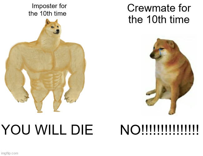 Among us crewmate be like | Imposter for the 10th time; Crewmate for the 10th time; YOU WILL DIE; NO!!!!!!!!!!!!!!! | image tagged in memes,buff doge vs cheems | made w/ Imgflip meme maker