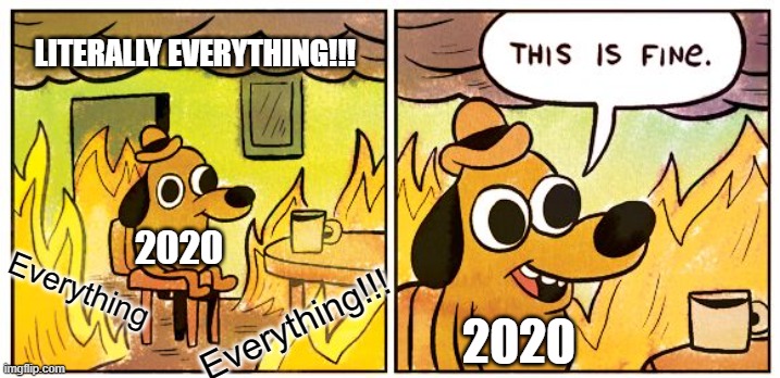 This Is Fine Meme | LITERALLY EVERYTHING!!! 2020; Everything; Everything!!! 2020 | image tagged in memes,this is fine | made w/ Imgflip meme maker