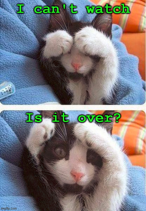 I can't watch; Is it over? | image tagged in cats | made w/ Imgflip meme maker