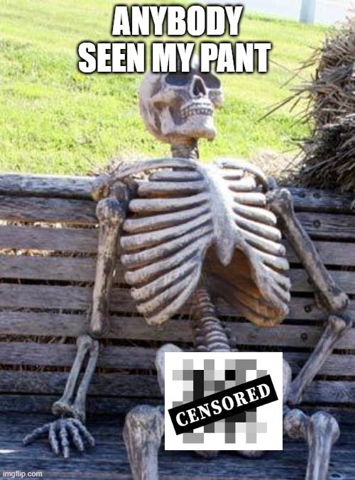 Waiting Skeleton Meme | ANYBODY SEEN MY PANT | image tagged in memes,waiting skeleton | made w/ Imgflip meme maker