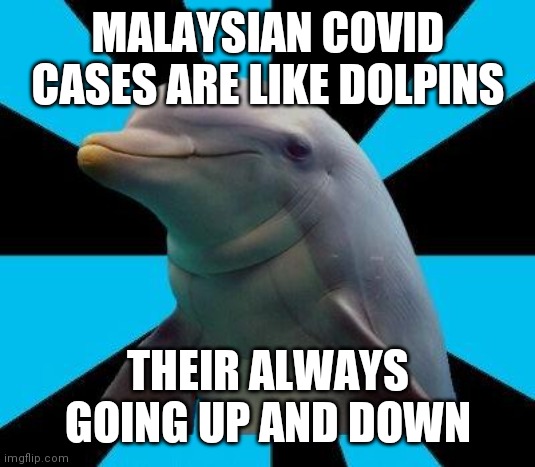 Heh...dolphins | MALAYSIAN COVID CASES ARE LIKE DOLPINS; THEIR ALWAYS GOING UP AND DOWN | image tagged in dolphin | made w/ Imgflip meme maker