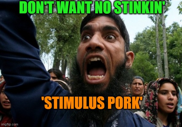 DON'T WANT NO STINKIN' 'STIMULUS PORK' | DON'T WANT NO STINKIN'; 'STIMULUS PORK' | image tagged in rageboy screaming islamist | made w/ Imgflip meme maker
