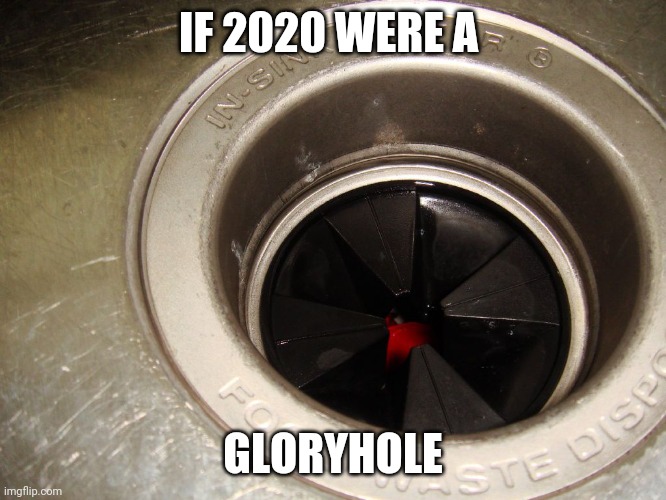 2020 gloryhole | IF 2020 WERE A; GLORYHOLE | image tagged in garbage disposal,gloryhole,2020,sampsin | made w/ Imgflip meme maker