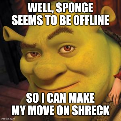 Hehe don't tell | WELL, SPONGE SEEMS TO BE OFFLINE; SO I CAN MAKE MY MOVE ON SHRECK | image tagged in shrek sexy face | made w/ Imgflip meme maker