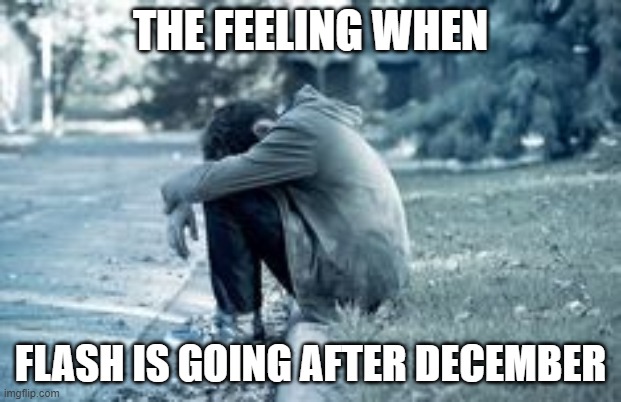 sad times all around us | THE FEELING WHEN; FLASH IS GOING AFTER DECEMBER | image tagged in the feeling when,flash games | made w/ Imgflip meme maker