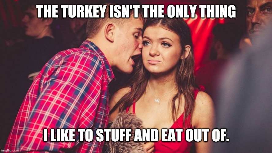 Guy talking to girl in club | THE TURKEY ISN'T THE ONLY THING; I LIKE TO STUFF AND EAT OUT OF. | image tagged in guy talking to girl in club | made w/ Imgflip meme maker