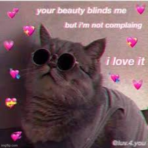 iM BLinDeD By tHe LiGhTs~ | made w/ Imgflip meme maker