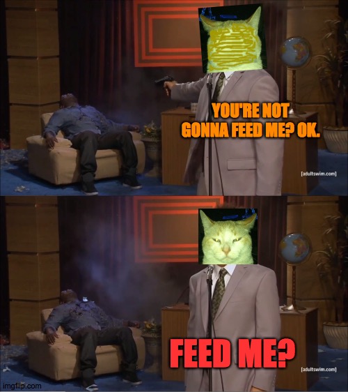 if cats had thumbs | YOU'RE NOT GONNA FEED ME? OK. FEED ME? | image tagged in cats,harsh,feed me,consequences,tuna,meow | made w/ Imgflip meme maker