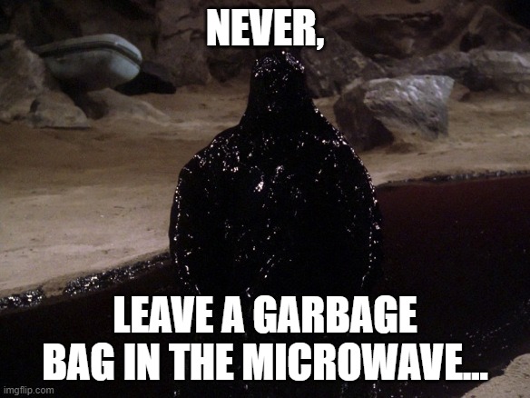 Black Goop Alien | NEVER, LEAVE A GARBAGE BAG IN THE MICROWAVE... | image tagged in black goop alien | made w/ Imgflip meme maker
