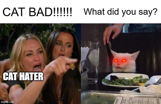 DO u hate cat? | CAT BAD!!!!!! What did you say? CAT HATER | image tagged in memes,woman yelling at cat | made w/ Imgflip meme maker