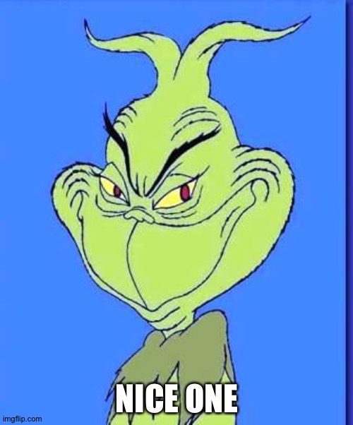 Good Grinch | NICE ONE | image tagged in good grinch | made w/ Imgflip meme maker