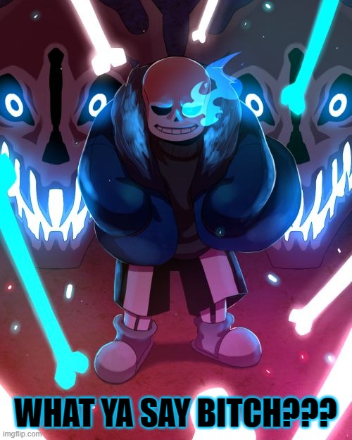 Sans Undertale | WHAT YA SAY BITCH??? | image tagged in sans undertale | made w/ Imgflip meme maker