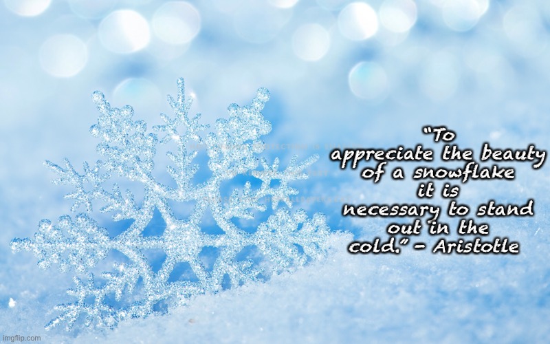 Snowflake | “To appreciate the beauty of a snowflake it is necessary to stand out in the cold.” - Aristotle | image tagged in memes | made w/ Imgflip meme maker
