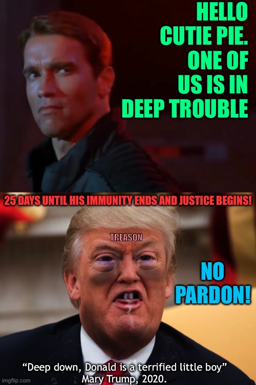 Trump treason | HELLO CUTIE PIE. ONE OF US IS IN DEEP TROUBLE; 25 DAYS UNTIL HIS IMMUNITY ENDS AND JUSTICE BEGINS! TREASON; NO PARDON! “Deep down, Donald is a terrified little boy” 
Mary Trump, 2020. | image tagged in donald trump | made w/ Imgflip meme maker