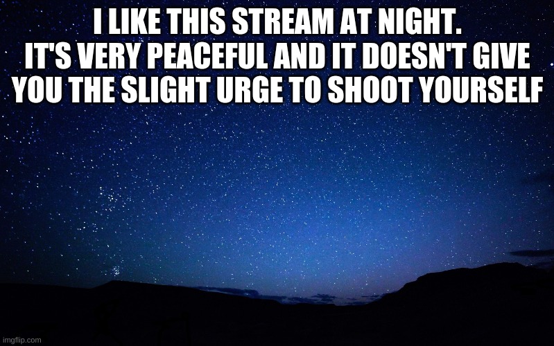 Ahhh... Nice and quiet | I LIKE THIS STREAM AT NIGHT. IT'S VERY PEACEFUL AND IT DOESN'T GIVE YOU THE SLIGHT URGE TO SHOOT YOURSELF | image tagged in night sky | made w/ Imgflip meme maker