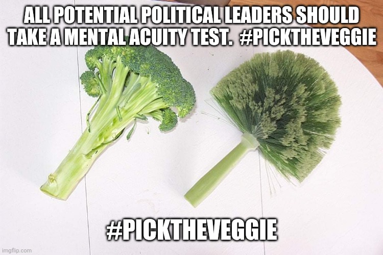 Pick the vegetable | ALL POTENTIAL POLITICAL LEADERS SHOULD TAKE A MENTAL ACUITY TEST.  #PICKTHEVEGGIE; #PICKTHEVEGGIE | image tagged in politics | made w/ Imgflip meme maker