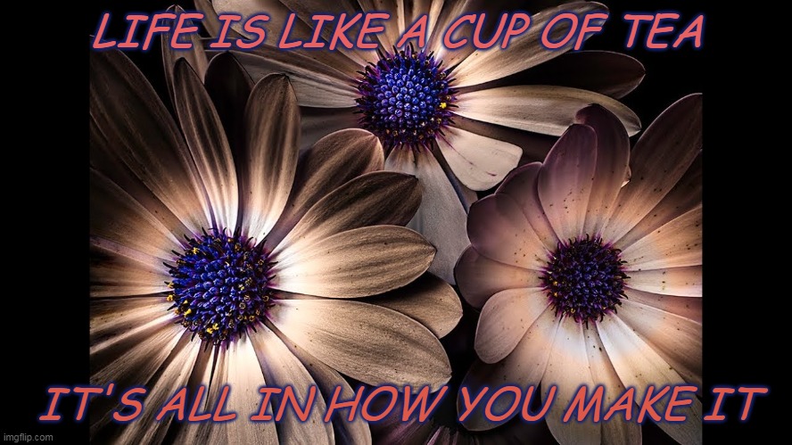 Life | LIFE IS LIKE A CUP OF TEA; IT'S ALL IN HOW YOU MAKE IT | image tagged in life lessons | made w/ Imgflip meme maker
