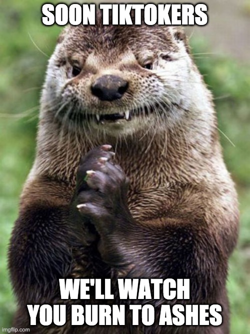 Evil Otter Meme | SOON TIKTOKERS WE'LL WATCH YOU BURN TO ASHES | image tagged in memes,evil otter | made w/ Imgflip meme maker