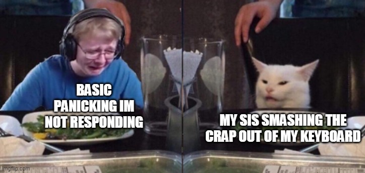 BASIC PANICKING IM NOT RESPONDING; MY SIS SMASHING THE CRAP OUT OF MY KEYBOARD | made w/ Imgflip meme maker