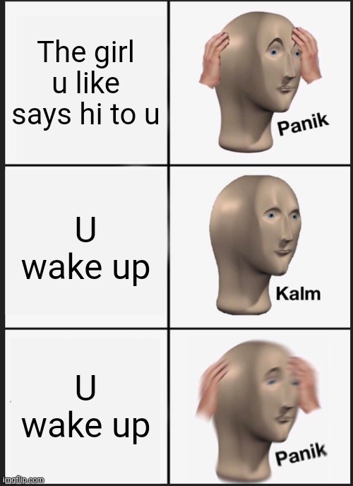 When u wake up at a wrong moment.... | The girl u like says hi to u; U wake up; U wake up | image tagged in memes,panik kalm panik,girl,dreams,wake up | made w/ Imgflip meme maker