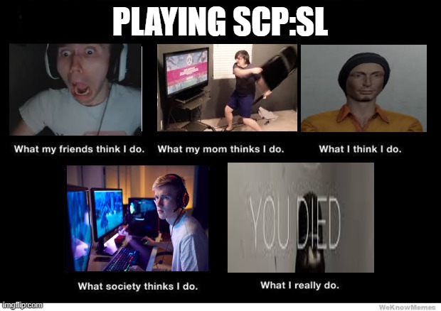 SCP:SL Gameplay but society judges me | PLAYING SCP:SL | image tagged in what they think i do | made w/ Imgflip meme maker