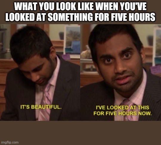 I've looked at this for 5 hours now | WHAT YOU LOOK LIKE WHEN YOU'VE LOOKED AT SOMETHING FOR FIVE HOURS | image tagged in i've looked at this for 5 hours now | made w/ Imgflip meme maker