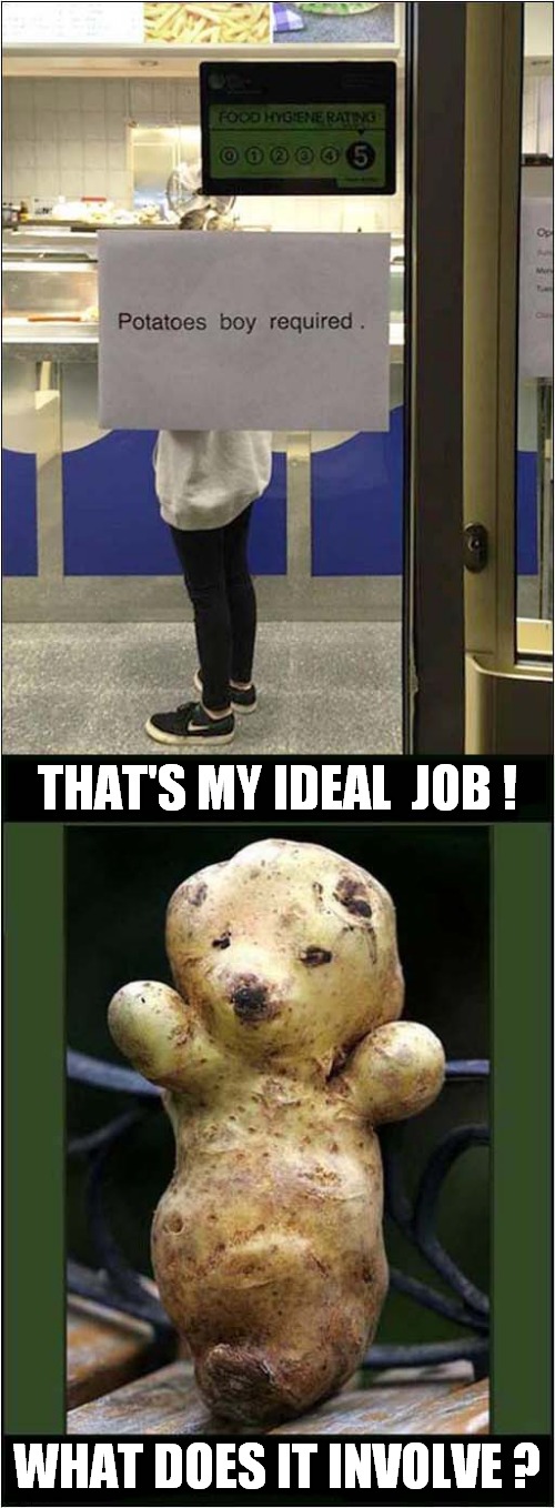 He Didn't Think It Through ! | THAT'S MY IDEAL  JOB ! WHAT DOES IT INVOLVE ? | image tagged in fun,job,potato | made w/ Imgflip meme maker