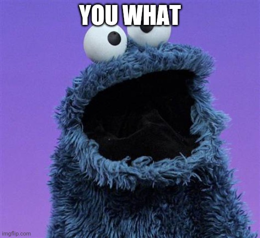 cookie monster | YOU WHAT | image tagged in cookie monster | made w/ Imgflip meme maker