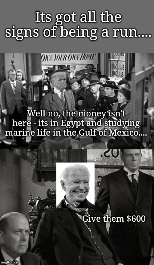 Its a Wonderful 2020 | Its got all the signs of being a run.... Well no, the money isn't here - its in Egypt and studying marine life in the Gulf of Mexico.... Give them $600 | image tagged in it's a wonderful life,2020 sucks | made w/ Imgflip meme maker