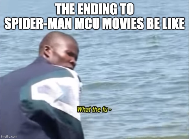 What the fu- | THE ENDING TO SPIDER-MAN MCU MOVIES BE LIKE | image tagged in what the fu-,spiderman,peter parker,marvel cinematic universe | made w/ Imgflip meme maker