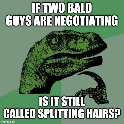 A hairy situation it can be. | IF TWO BALD GUYS ARE NEGOTIATING; IS IT STILL CALLED SPLITTING HAIRS? | image tagged in memes,philosoraptor,hair,bald | made w/ Imgflip meme maker