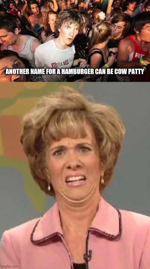 Aw crap | ANOTHER NAME FOR A HAMBURGER CAN BE COW PATTY | image tagged in memes,sudden clarity clarence,disgusted kristin wiig,food,burgers,cows | made w/ Imgflip meme maker