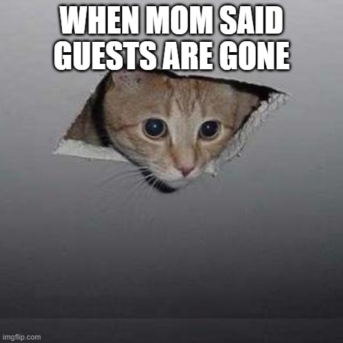 Ceiling Cat | WHEN MOM SAID GUESTS ARE GONE | image tagged in memes,ceiling cat | made w/ Imgflip meme maker
