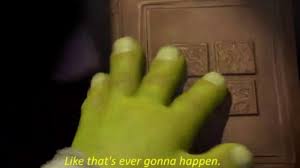 Like that's ever gonna happen Blank Meme Template
