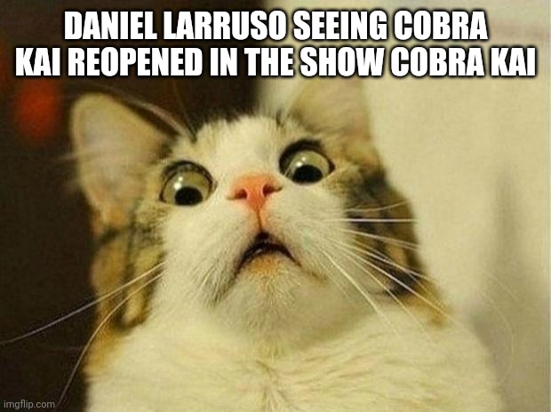 Scared Cat Meme | DANIEL LARRUSO SEEING COBRA KAI REOPENED IN THE SHOW COBRA KAI | image tagged in memes,scared cat | made w/ Imgflip meme maker