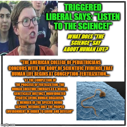 "Listen to the Science" | TRIGGERED LIBERAL SAYS: "LISTEN TO THE SCIENCE!"; WHAT DOES "THE SCIENCE" SAY ABOUT HUMAN LIFE? "THE AMERICAN COLLEGE OF PEDIATRICIANS CONCURS WITH THE BODY OF SCIENTIFIC EVIDENCE THAT HUMAN LIFE BEGINS AT CONCEPTION-FERTILIZATION.... "AT THE COMPLETION OF THE PROCESS OF FERTILIZATION, THE HUMAN CREATURE EMERGES AS A WHOLE, GENETICALLY DISTINCT, INDIVIDUATED ZYGOTIC LIVING HUMAN ORGANISM, A MEMBER OF THE SPECIES HOMO SAPIENS, NEEDING ONLY THE PROPER ENVIRONMENT IN ORDER TO GROW AND DEVELOP." | image tagged in abortion,triggered liberal,science | made w/ Imgflip meme maker