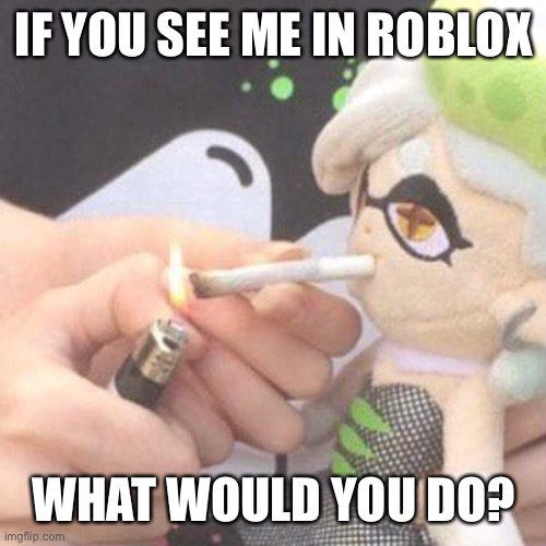 Marie Plush smoking | IF YOU SEE ME IN ROBLOX; WHAT WOULD YOU DO? | image tagged in marie plush smoking | made w/ Imgflip meme maker