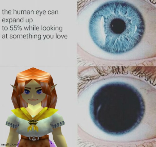 this pic somehow works better than i expected | image tagged in eye pupil expand | made w/ Imgflip meme maker
