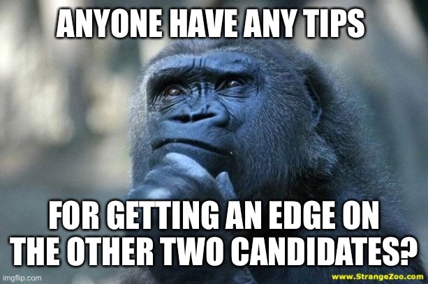 Any ideas? | ANYONE HAVE ANY TIPS; FOR GETTING AN EDGE ON THE OTHER TWO CANDIDATES? | image tagged in deep thoughts,ideas,vote,greeniemeanie | made w/ Imgflip meme maker